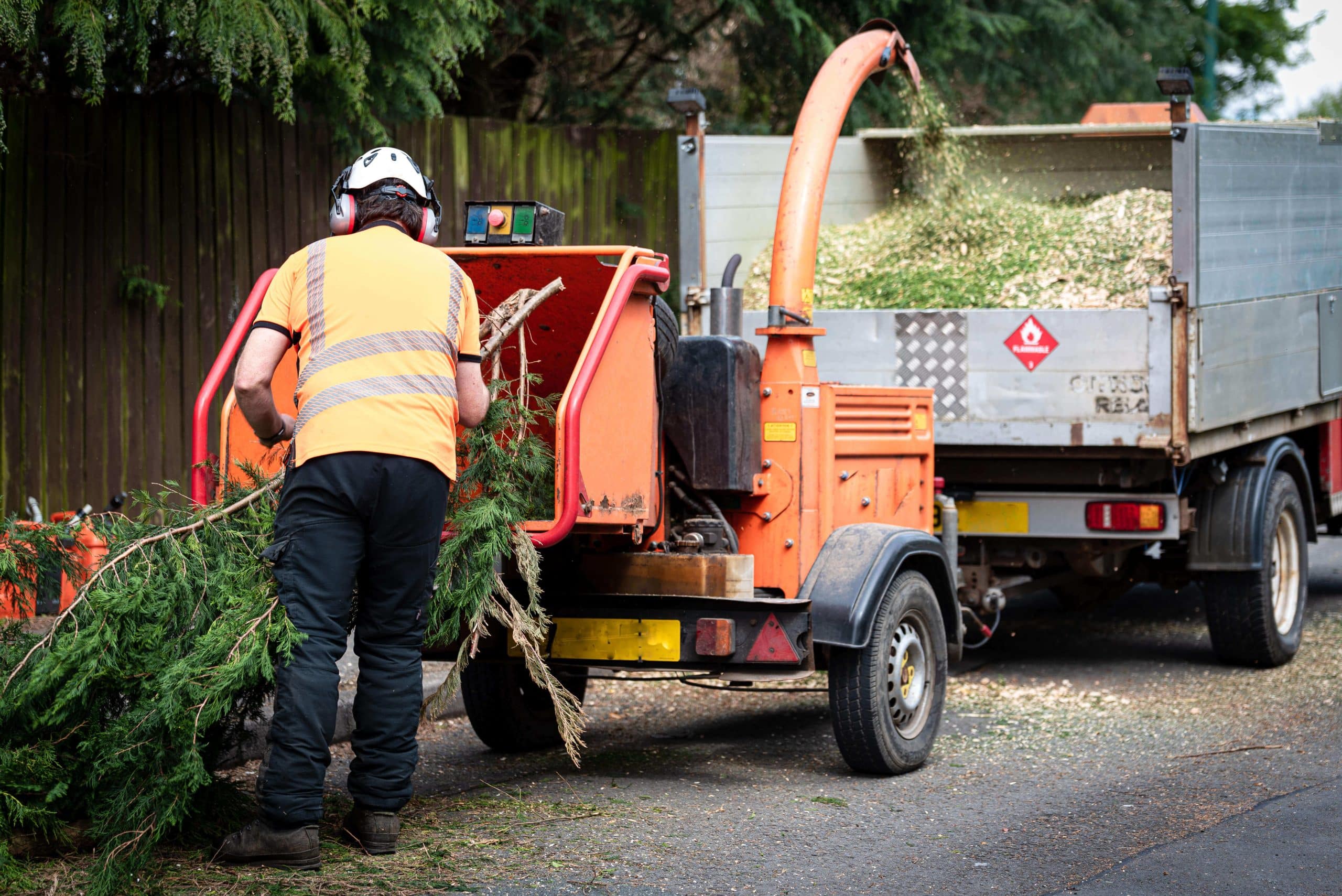 Tree Stump Grinding/Removal Brockley SE4